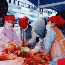 진안고원 김치보쌈 축제 주차장 우리 집 김장 담그기 김장재료 30% 할인행사!