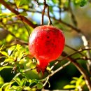 정구농장 이미지