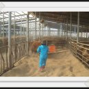 승지농장 이미지