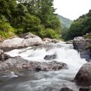 김삿갓면-41 이미지