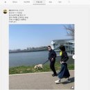토리153 이미지