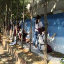 영광초등학교 앞 이미지