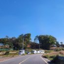 가을을 품은 민화 이미지