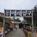 한국하멜기념사업회 | 제주도 가볼 만한 곳 용머리해안, 산방산, 산방굴사, 산방산보문사