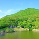 진도물빛 | [멋] 진도 가볼만한곳 운림산방 입장료 주차 정보, 5월의 고즈넉한 정원 산책 코스 (5/23)