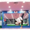 알로하태권도장 이미지