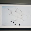 JCC아트센터 이미지