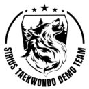 시리우스 시범 태권도장 이미지