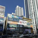 연세영훈치과교정과치과의원 | 8년째 다니는 청주연세영훈치과교정과! 마치 두쫀쿠같아!