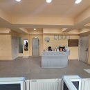 별이알이 댕댕샵 이미지