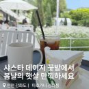 멍때리는정원카페 | 5월에 꼭 가야 하는 강화 카페 🌼 샤스타데이지 가득한 마호가니 후기