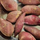 화산고구마 | [쿠팡 곰곰] 고구마 해남 화산 한입 꿀맛 밤 고구마 원산지 국내산 농협 내돈내산 후기