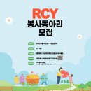 2025학년도 간호학과 동아리 신입부원 모집 안내_▶ RCY동아리 ◀ 이미지