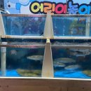 황금어장막썰이횟집 이미지