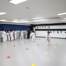 상록태권도 이미지