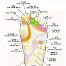 발건강마사지 이미지