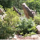 희망 인력 행정사사무소 이미지