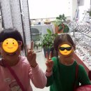 한밭대안경원 이미지