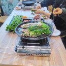 비타민노래타운 이미지