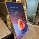 호텔아리아(Aria) | @조선호텔 뷔페 아리아 aria / 평일 점심 런치 후기