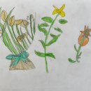 세밀색연필화 이미지