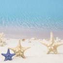 풍요의 정원 이미지