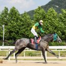 (주)디알엠 이미지