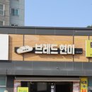 브레드 현미 이미지
