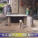 분당프라자 이미지