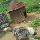 홍천목장 이미지