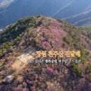 천주산 등산 도로변 | 창원 천주산 진달래 2025 실시간 개화상태 천주암 등산코스 드론뷰