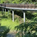 의림지 공영주차장 이미지