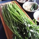 청도오리 이미지