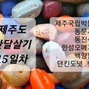 동진닭집