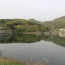 반디불민박 네이버블로그