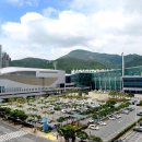 벡스코 국제신문