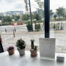 라시포플레르
