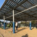 그린존 | [두산 원정 직관기⚾️]오늘의 식당 인천 SSG랜더스필드 | 몰리스 그린존 후기·시야·먹산 솔직리뷰 (3탄)