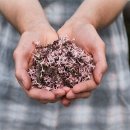 약용식물관리사 이미지