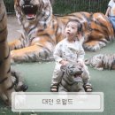 대전/중구_20개월 아기랑 오월드_주차팁,티켓할인,대전사랑카드,솔직후기(아이랑 갈만한 곳)