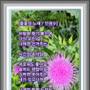 눈꽃맥주 - 아산시 기곡로62번길 20 | 눈꽃맥주