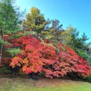 남서울골프연습장 이미지