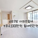 다올도배장판