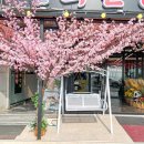 회신랑조개각시