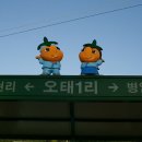 효령 이미지