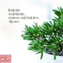 서면한라부동산중개 이미지