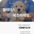 관문동물병원 이미지