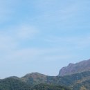 용산호호