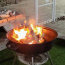 콩밭매는 강아지 이미지