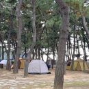 914 해변 캠핑장 이미지